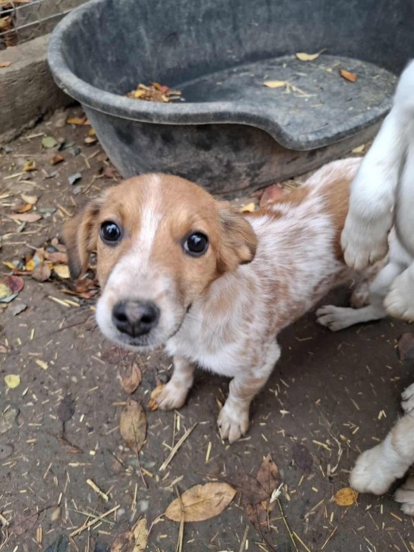 WhatsApp Image 2025 11 09 at 21.37.57