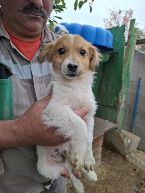 WhatsApp Image 2025 11 09 at 21.37.57