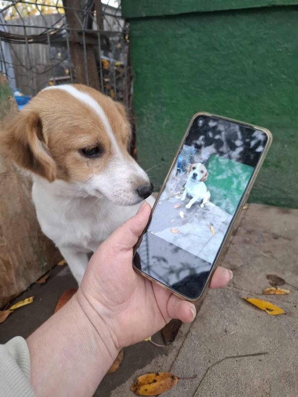 WhatsApp Image 2025 11 14 at 18.52.00 (1)