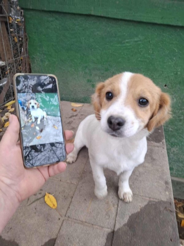 WhatsApp Image 2025 11 14 at 18.52.00 (2)