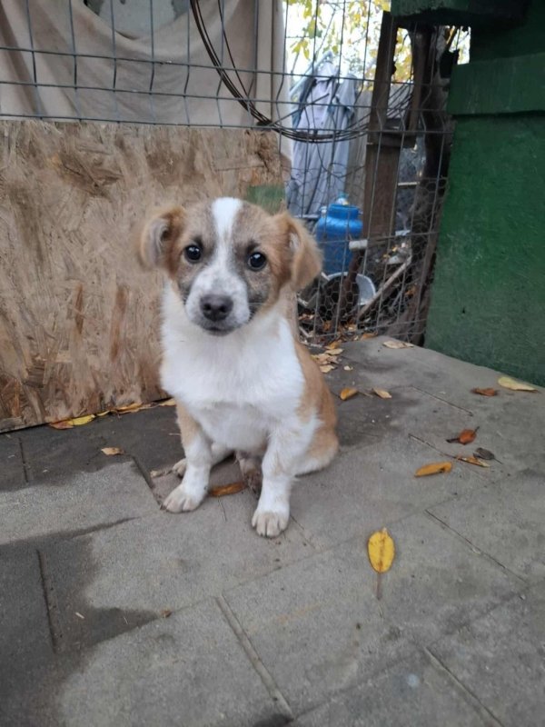 WhatsApp Image 2025 11 14 at 18.52.00