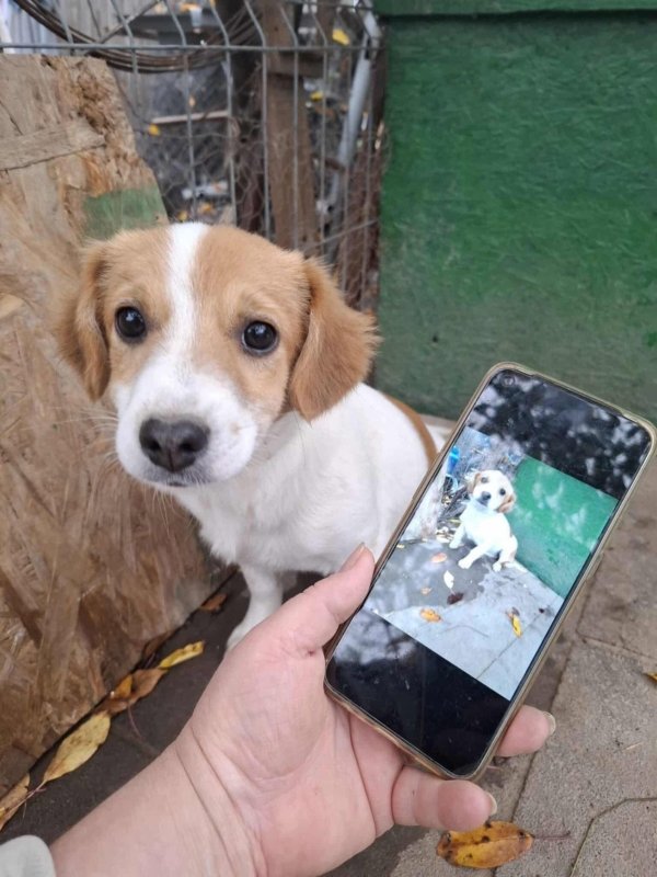 WhatsApp Image 2025 11 14 at 18.52.00