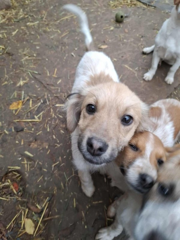 WhatsApp Image 2025 11 14 at 18.52.01 (1)