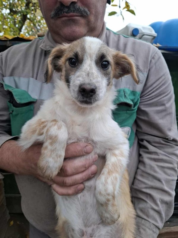 WhatsApp Image 2025 11 14 at 18.52.01 (1)