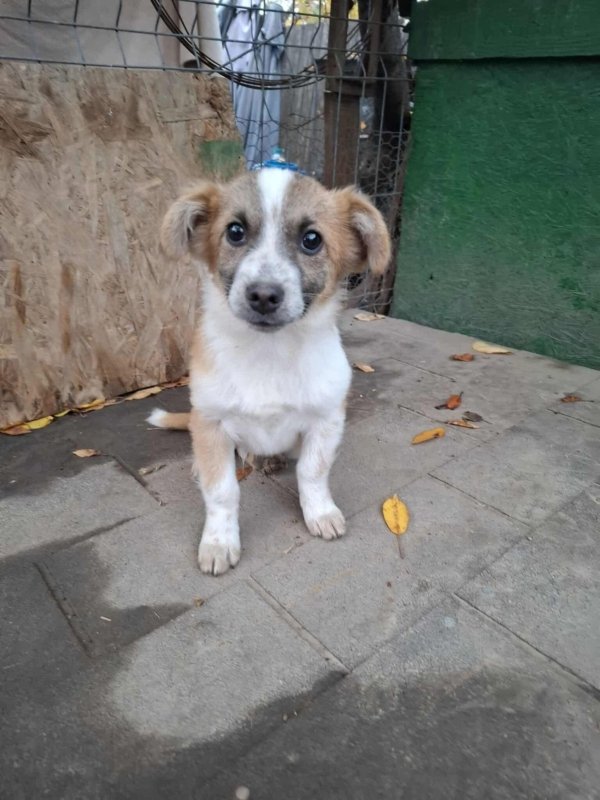 WhatsApp Image 2025 11 14 at 18.52.01 (1)