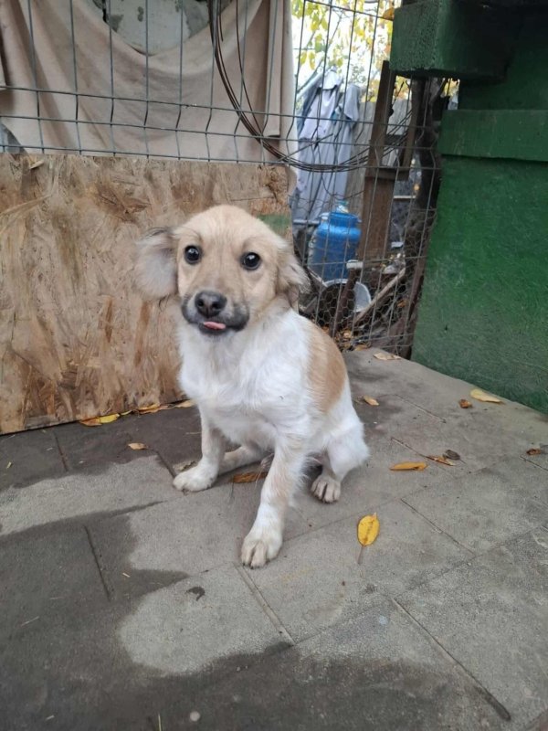 WhatsApp Image 2025 11 14 at 18.52.01 (2)