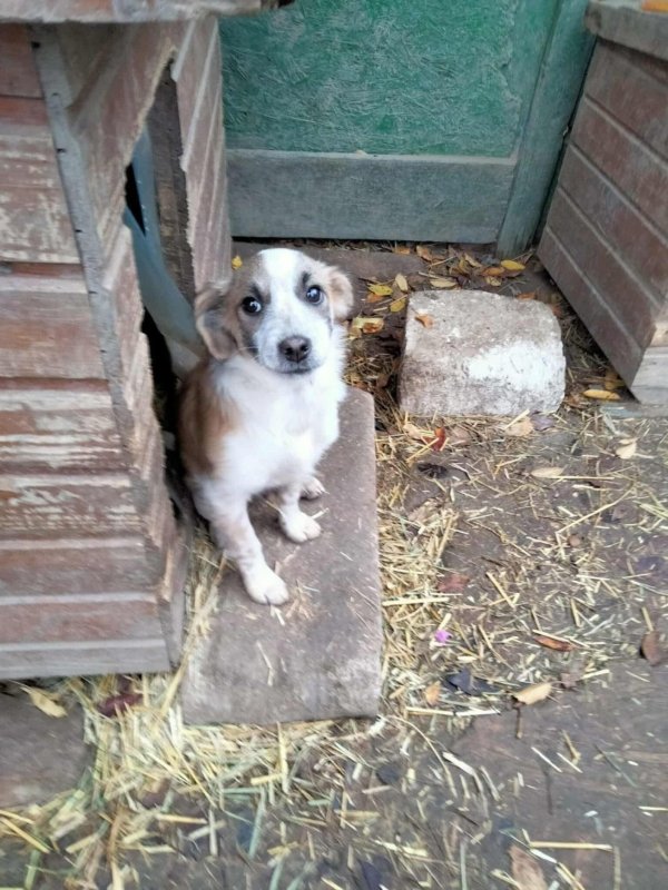 WhatsApp Image 2025 11 14 at 18.52.01 (2)