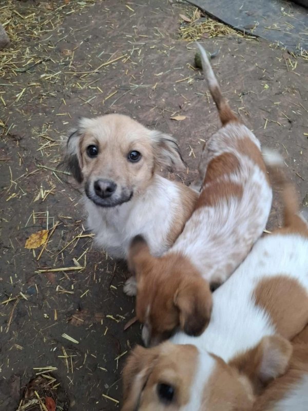 WhatsApp Image 2025 11 14 at 18.52.01