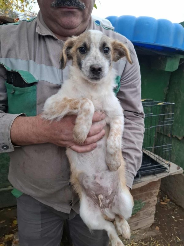 WhatsApp Image 2025 11 14 at 18.52.01