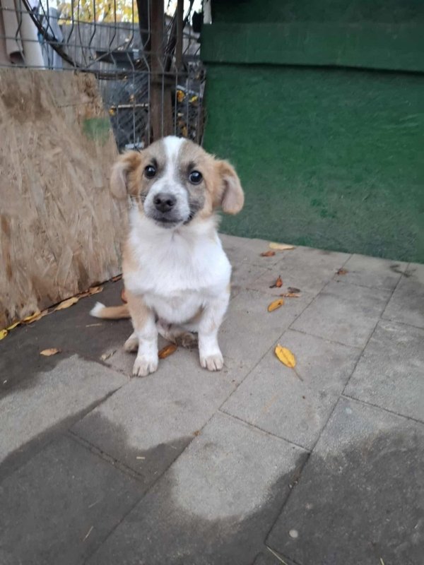 WhatsApp Image 2025 11 14 at 18.52.01