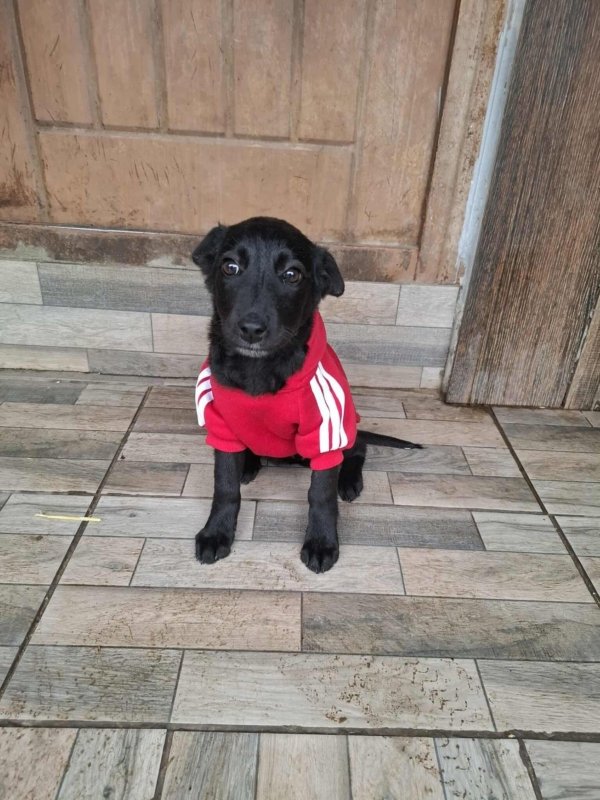 WhatsApp Image 2025 11 18 at 19.34.11 (1)