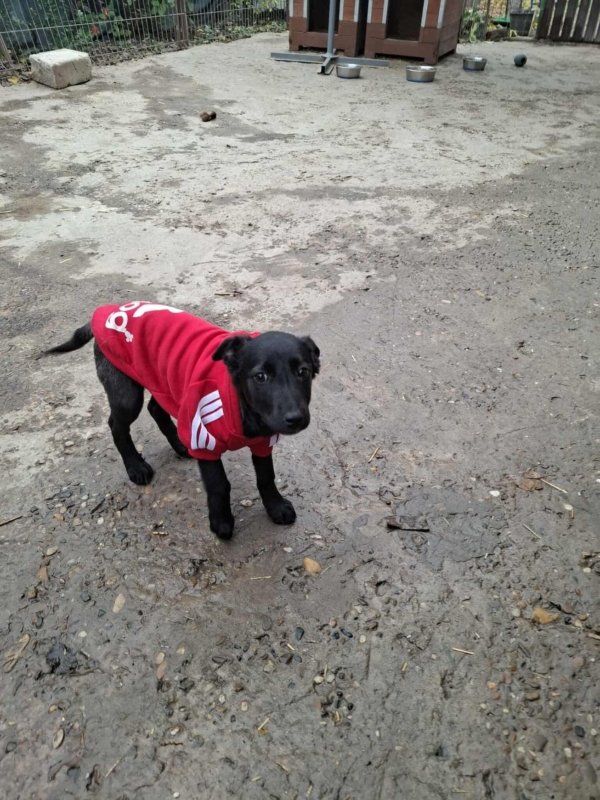 WhatsApp Image 2025 11 18 at 19.34.11 (2)