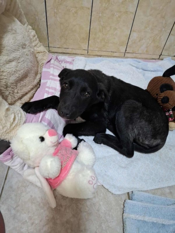 WhatsApp Image 2025 11 18 at 19.34.11 (3)