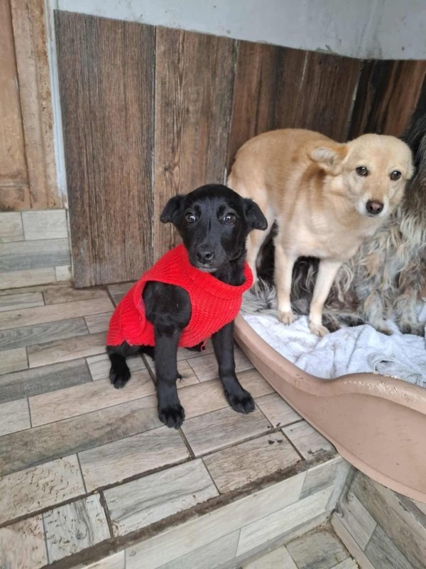 WhatsApp Image 2025 11 18 at 19.34.11 (4)