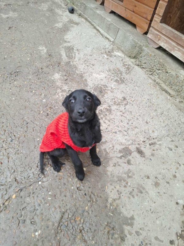 WhatsApp Image 2025 11 18 at 19.34.11 (5)