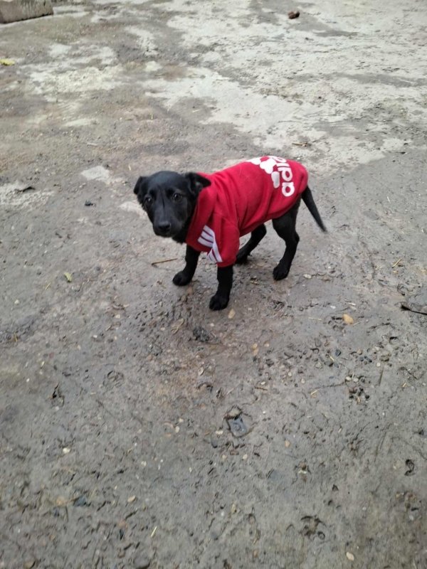 WhatsApp Image 2025 11 18 at 19.34.11 (6)