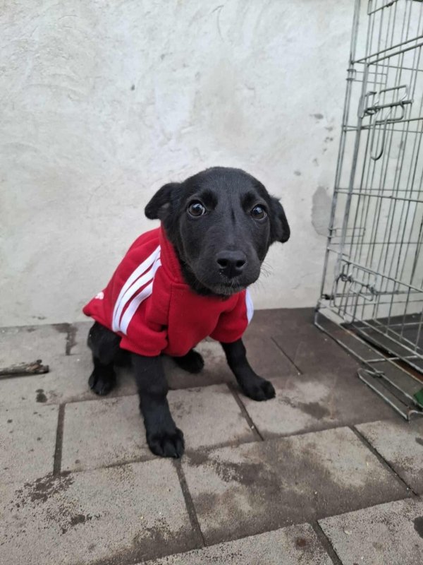 WhatsApp Image 2025 11 18 at 19.34.11 (7)