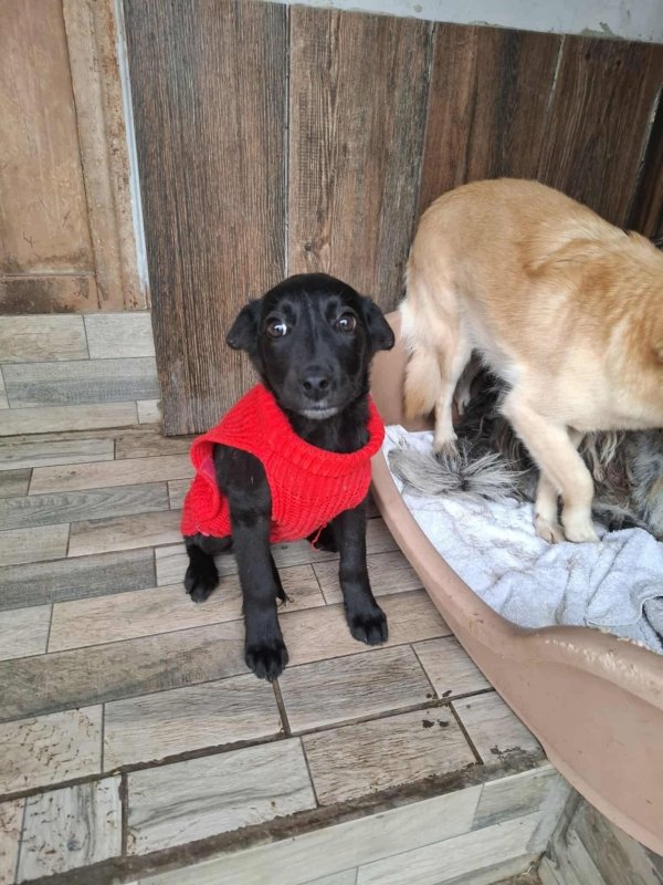 WhatsApp Image 2025 11 18 at 19.34.11 (8)