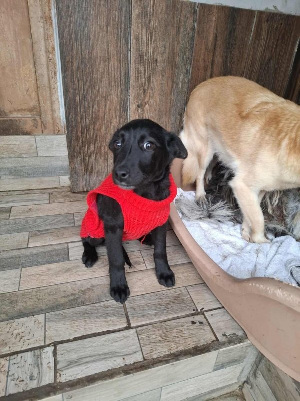 WhatsApp Image 2025 11 18 at 19.34.11