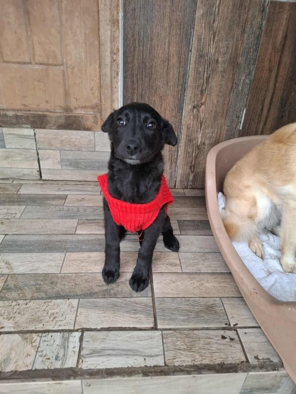 WhatsApp Image 2025 11 18 at 19.34.12 (1)