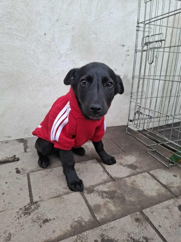 WhatsApp Image 2025 11 18 at 19.34.12 (2)