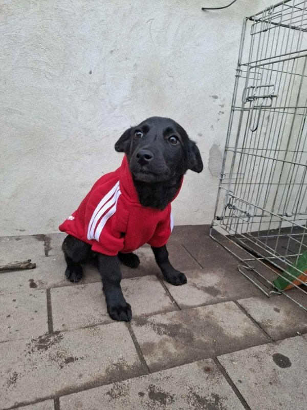 WhatsApp Image 2025 11 18 at 19.34.12