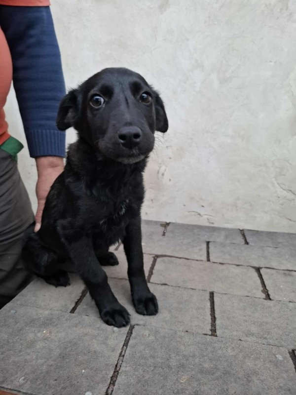 WhatsApp Image 2025 11 19 at 14.03.47 (1)