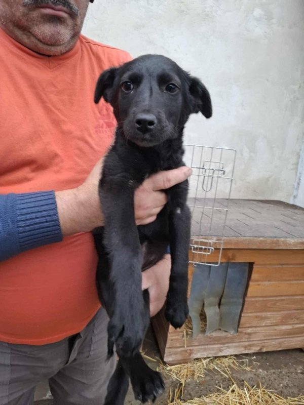 WhatsApp Image 2025 11 19 at 14.03.47 (2)