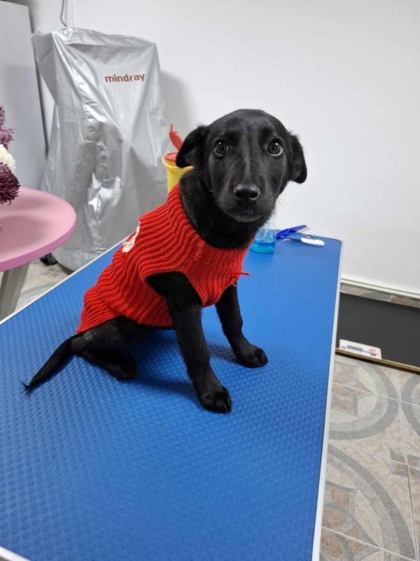 WhatsApp Image 2025 11 19 at 14.03.47