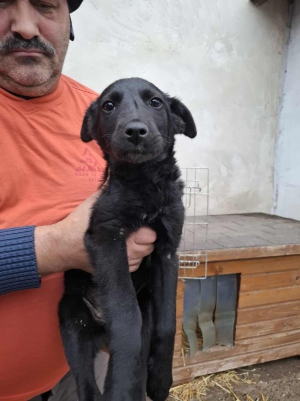 WhatsApp Image 2025 11 19 at 14.03.48 (1)