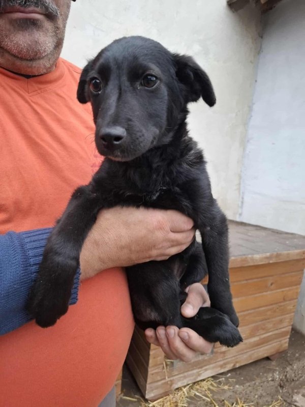 WhatsApp Image 2025 11 19 at 14.03.48 (2)