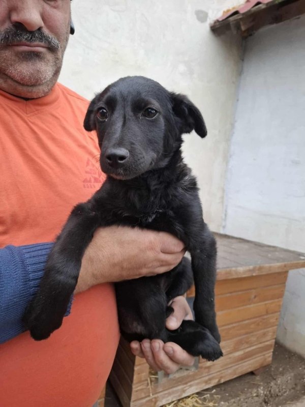 WhatsApp Image 2025 11 19 at 14.03.48