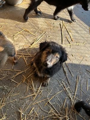 WhatsApp Image 2025 11 22 at 13.14.41