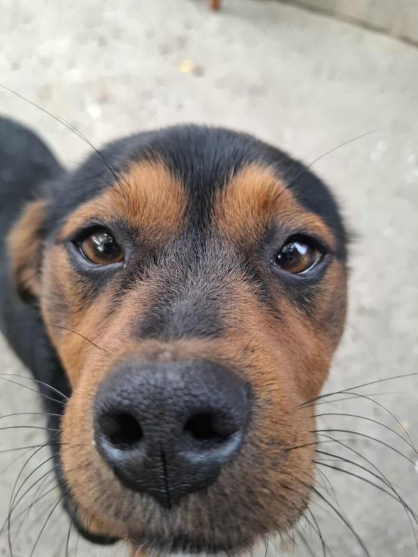 WhatsApp Image 2025 11 25 at 18.15.40