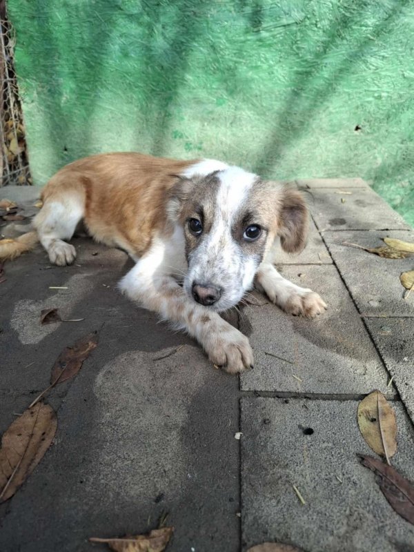 WhatsApp Image 2025 11 25 at 18.15.41 (1)