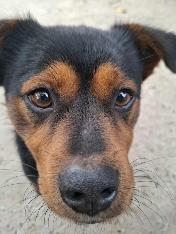 WhatsApp Image 2025 11 25 at 18.15.41 (1)