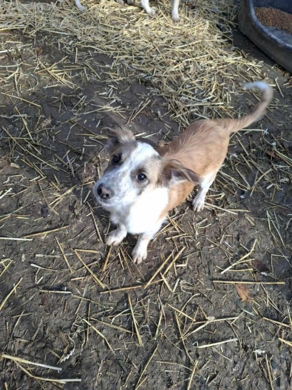 WhatsApp Image 2025 11 25 at 18.15.41 (2)