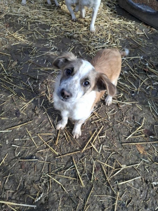 WhatsApp Image 2025 11 25 at 18.15.41