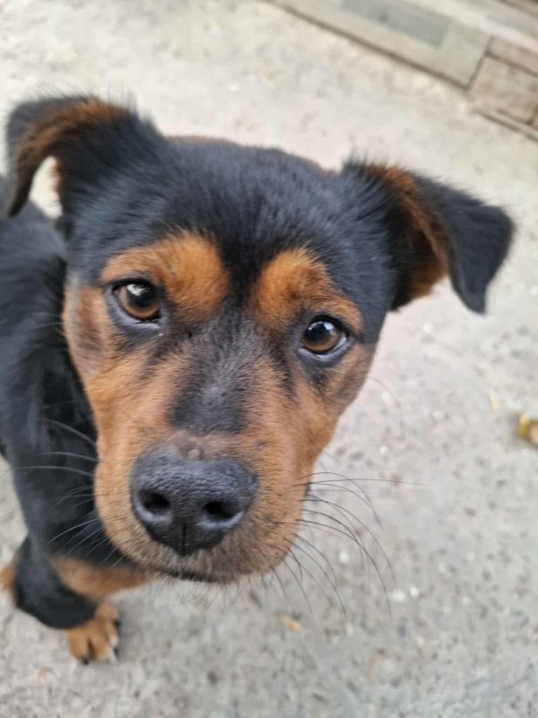 WhatsApp Image 2025 11 25 at 18.15.41