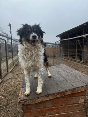 WhatsApp Image 2026 02 13 at 11.43.41