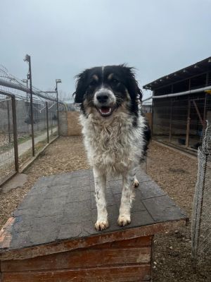 WhatsApp Image 2026 02 13 at 11.43.43