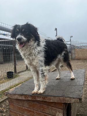 WhatsApp Image 2026 02 13 at 11.43.44