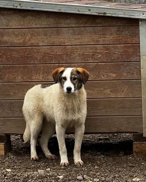 WhatsApp Image 2026 02 13 at 12.23.081