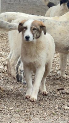 WhatsApp Image 2026 02 13 at 12.23.093