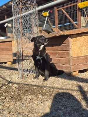 WhatsApp Image 2026 04 06 at 08.18.48 (1)