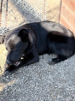 WhatsApp Image 2026 04 06 at 08.18.48 (2)