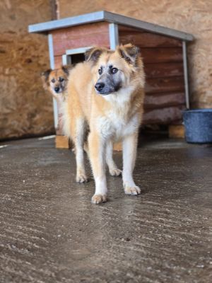 WhatsApp Image 2026 04 09 at 11.31.30