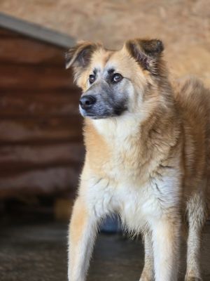 WhatsApp Image 2026 04 09 at 11.31.31 (1)