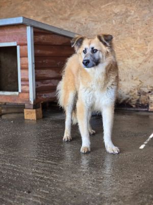 WhatsApp Image 2026 04 09 at 11.31.31 (2)