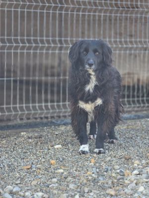 WhatsApp Image 2026 04 09 at 11.32.48 (1)